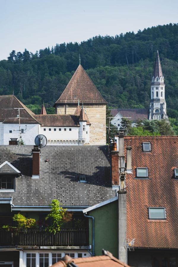Le Duplex Vaugelas Atypique En Plein Centre Ville Annecy Exterior photo
