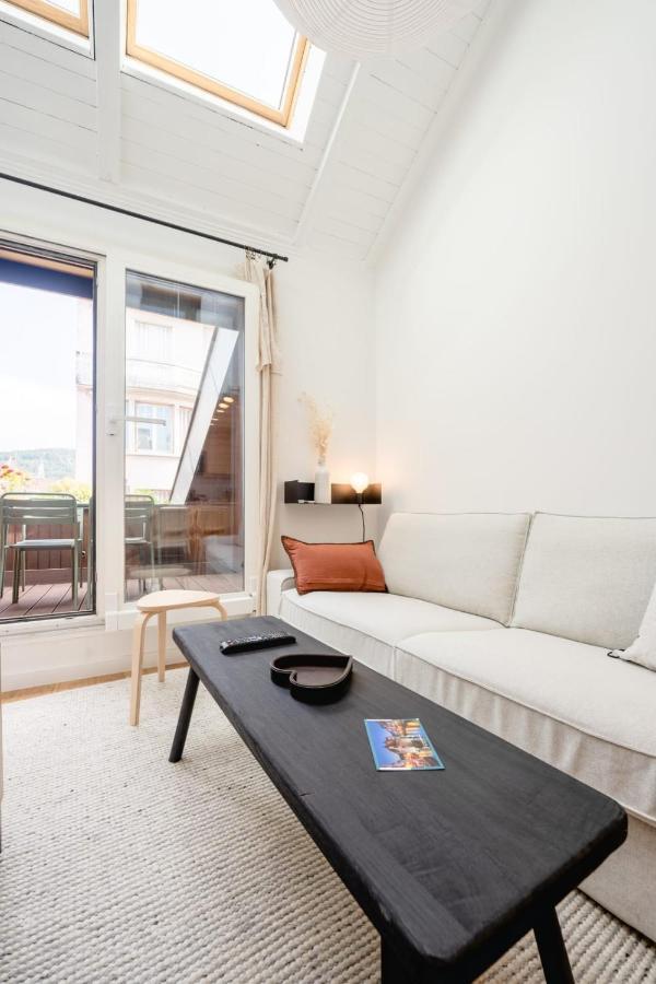 Le Duplex Vaugelas Atypique En Plein Centre Ville Annecy Exterior photo